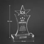 Acrylic Trophy - Image 3