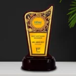 Apex Customised Corporate Trophy ( Size: 19.81 cm)