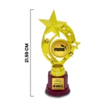 Customized Corporate Star Trophy (Size : 21.59 Cm) - Image 2